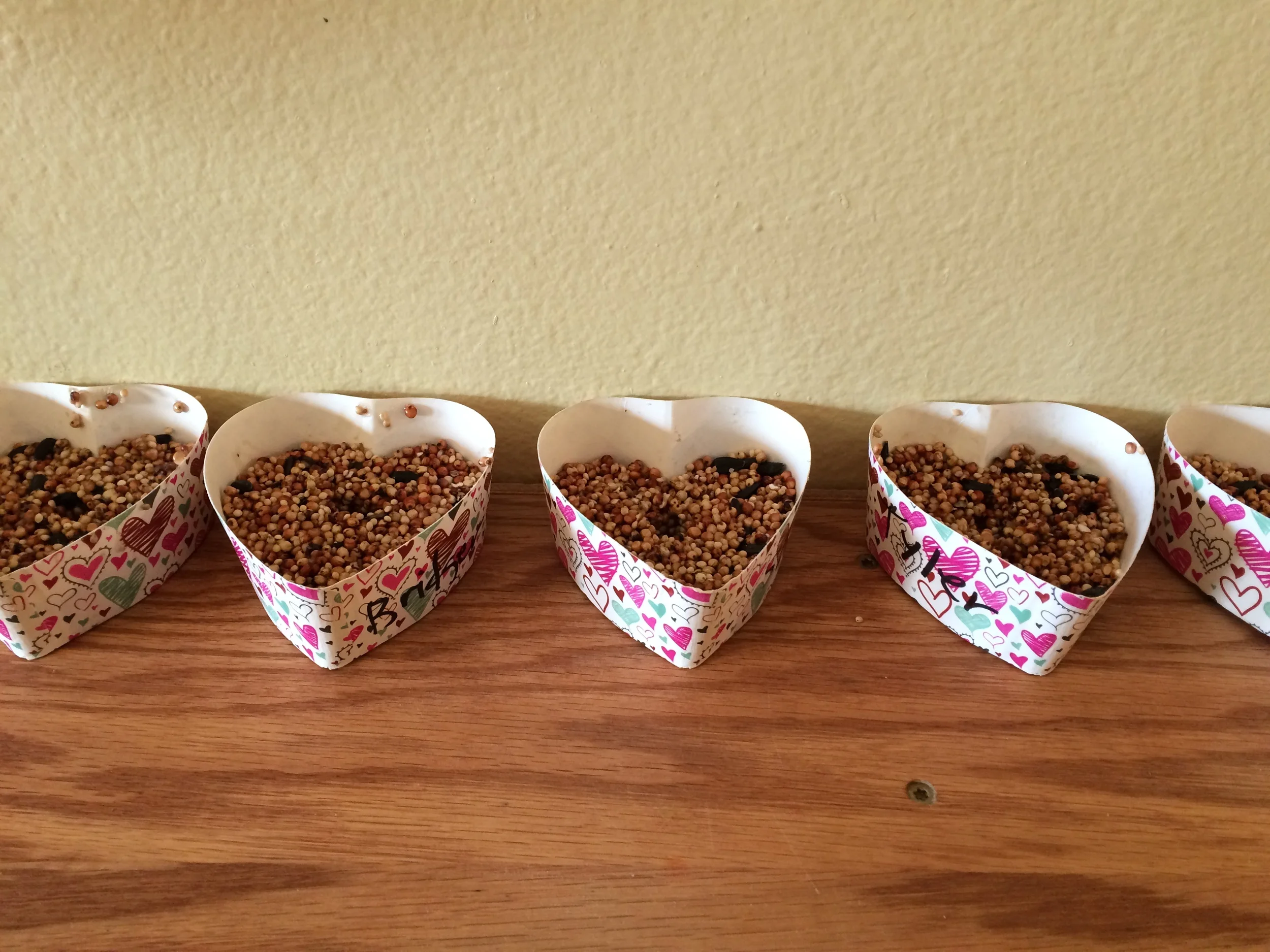 Birdseed Hearts