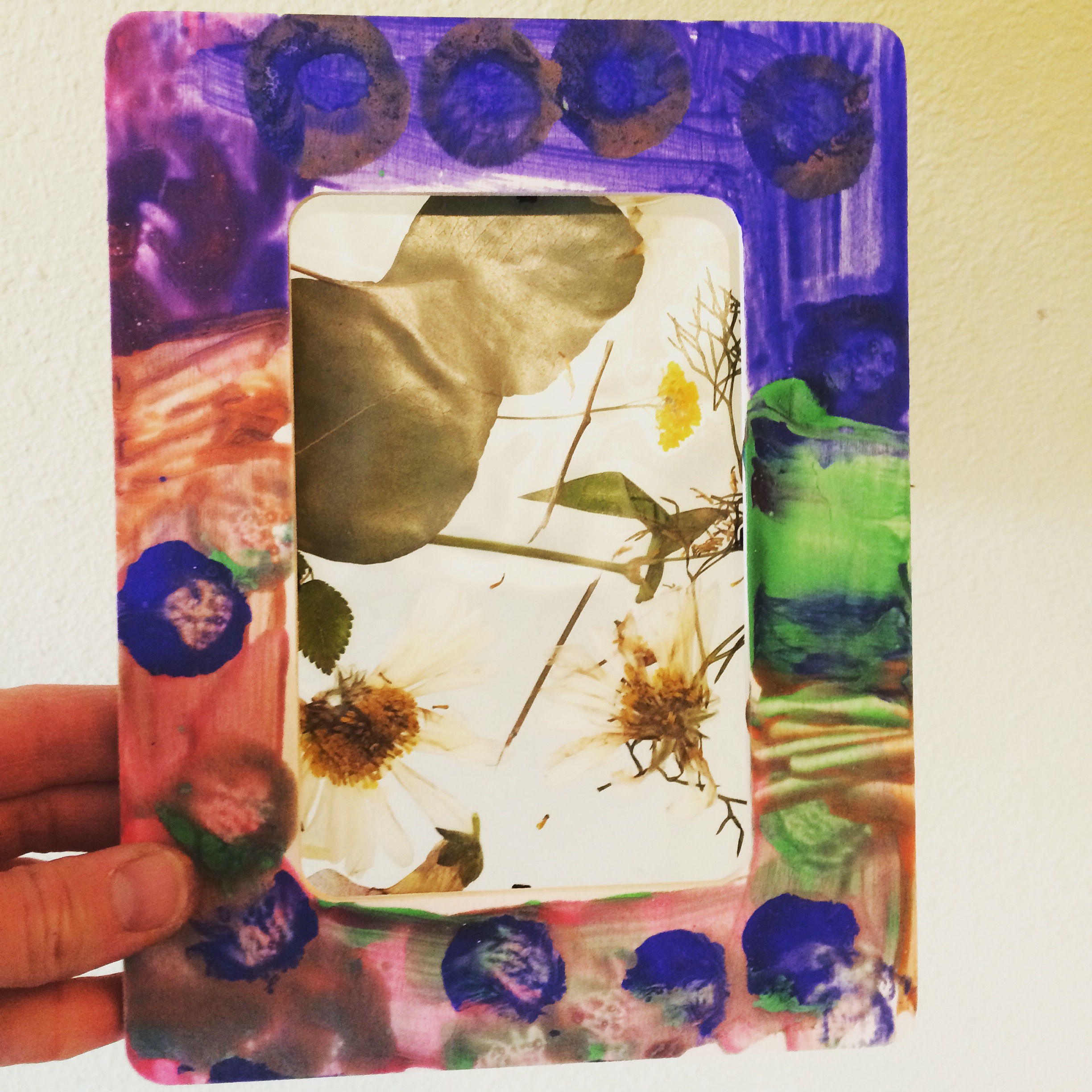 Nature Sun Catchers