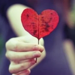 Heart Leaf.jpg