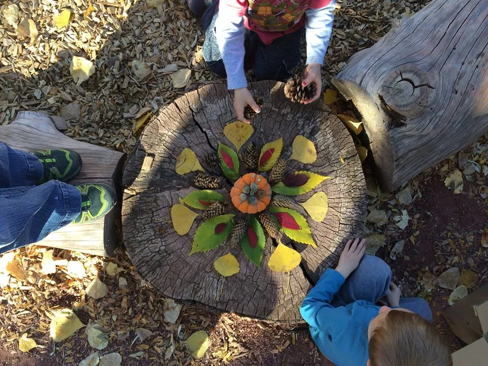 wild roots fall mandala.jpg