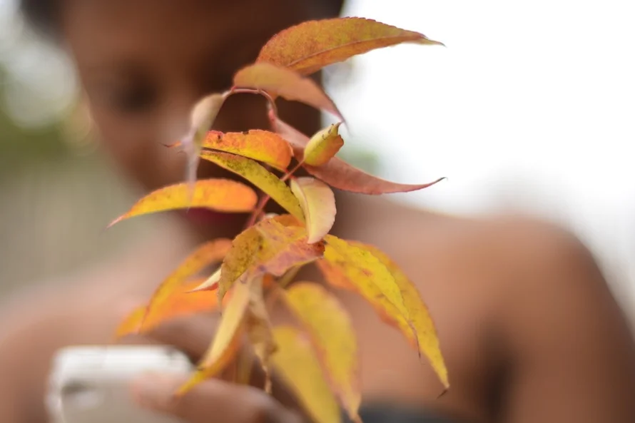 fall beauty women.jpeg