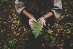 women giving fern.jpeg