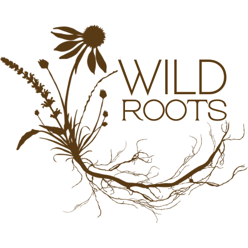 Wild Roots Studio