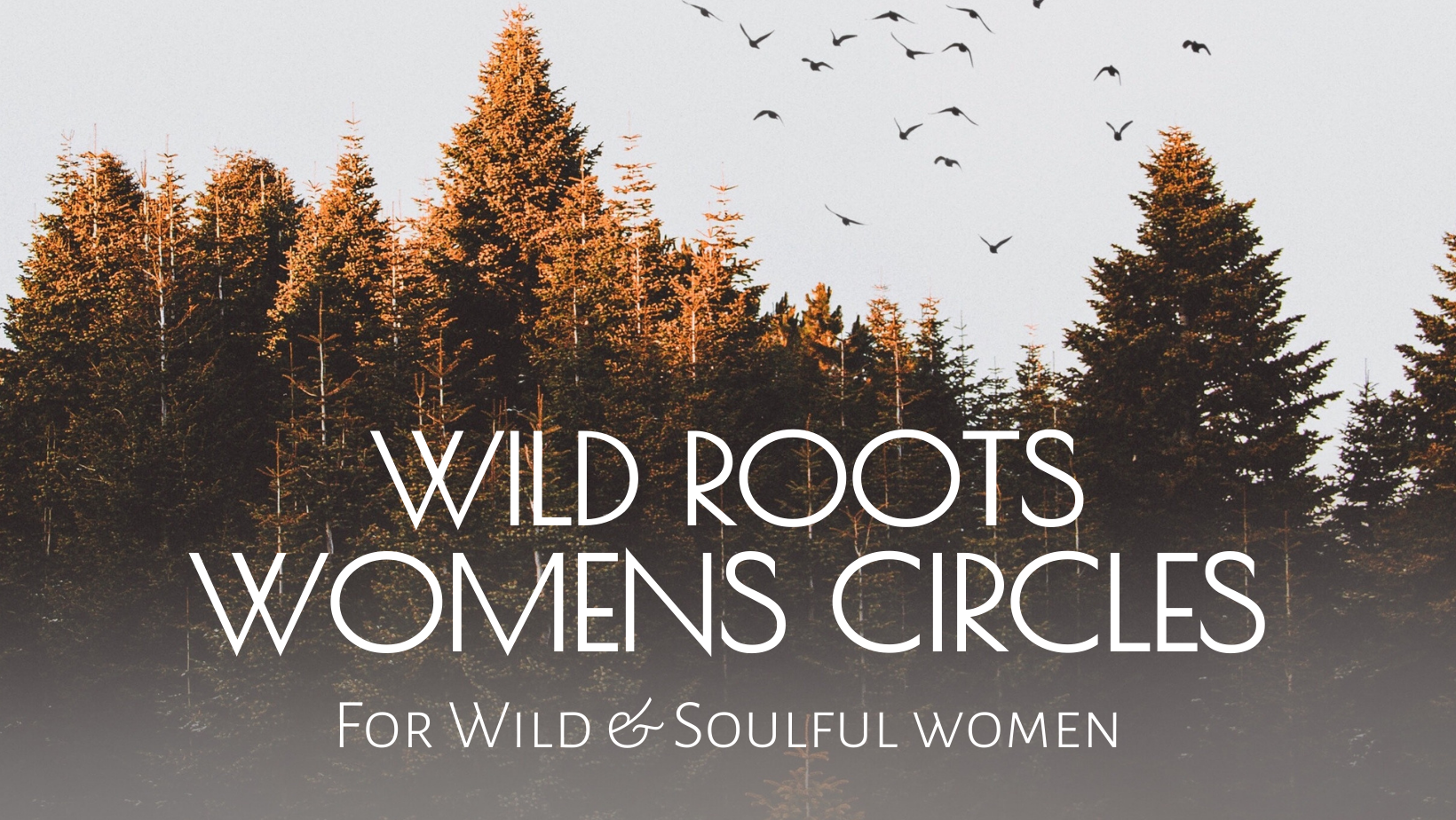 Copy of Copy of Copy of Wild Roots Studio (8).png