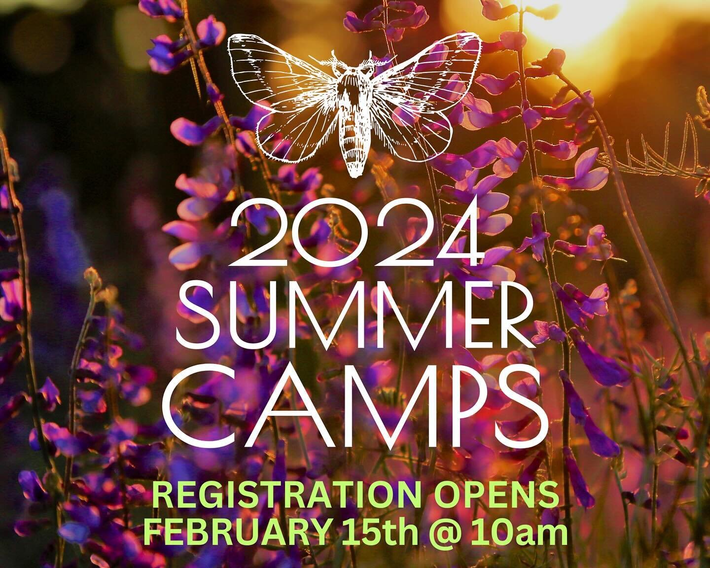 Our summer camp schedule is posted! Registration will open at 10am on February 15th. 

We LOVE when the season wheel comes around to Summer! Wild Roots offers a variety of summer camps aimed at getting kids outdoors and exploring their wild creativit
