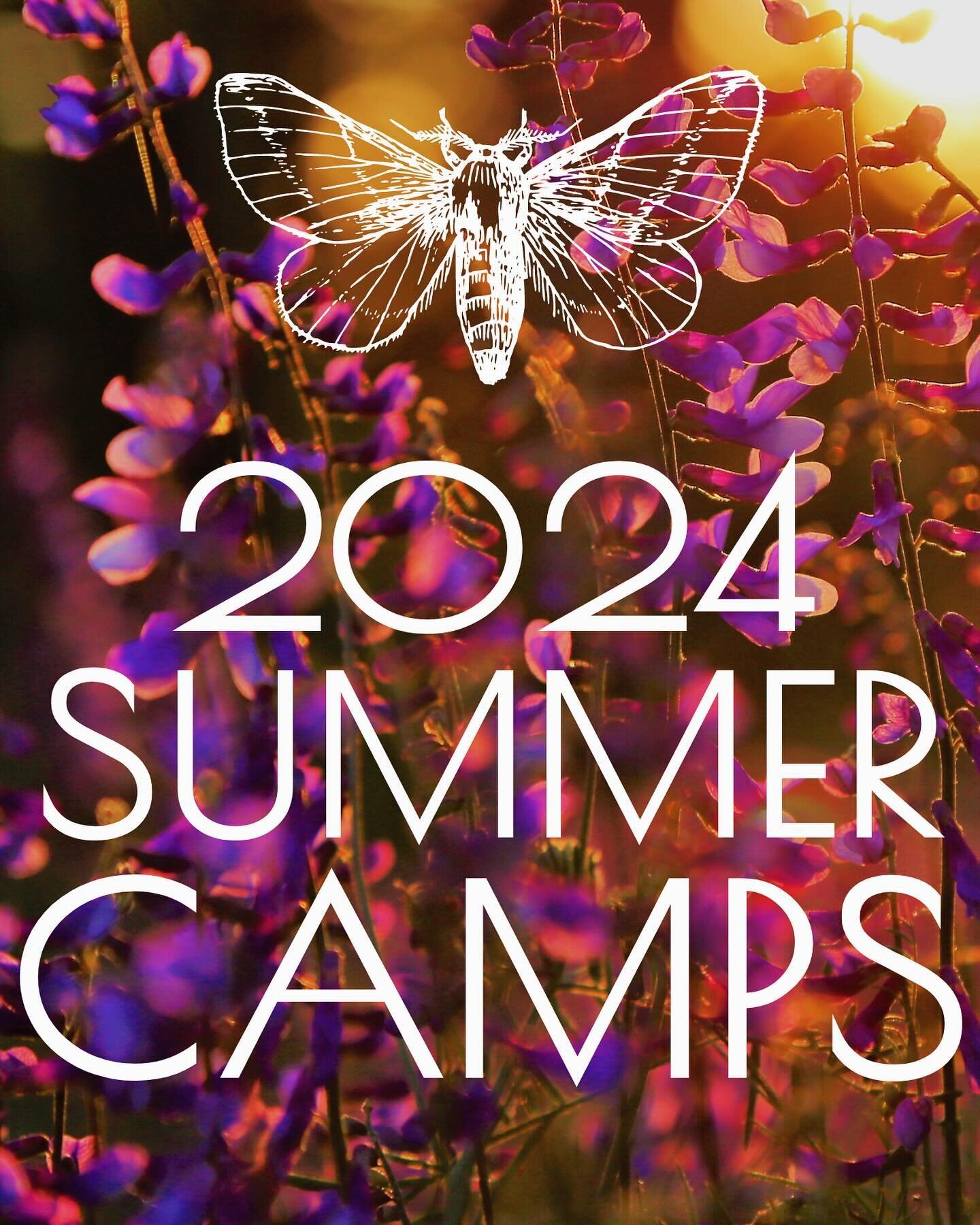 Registration For 2024 Summer Art Camps Will Open Tomorrow, February 15th At 10am.

Welcome to Wild Roots Summer Camps! We eagerly anticipate the arrival of summer, and we&rsquo;re thrilled to offer an enriching and immersive experience for kids to co