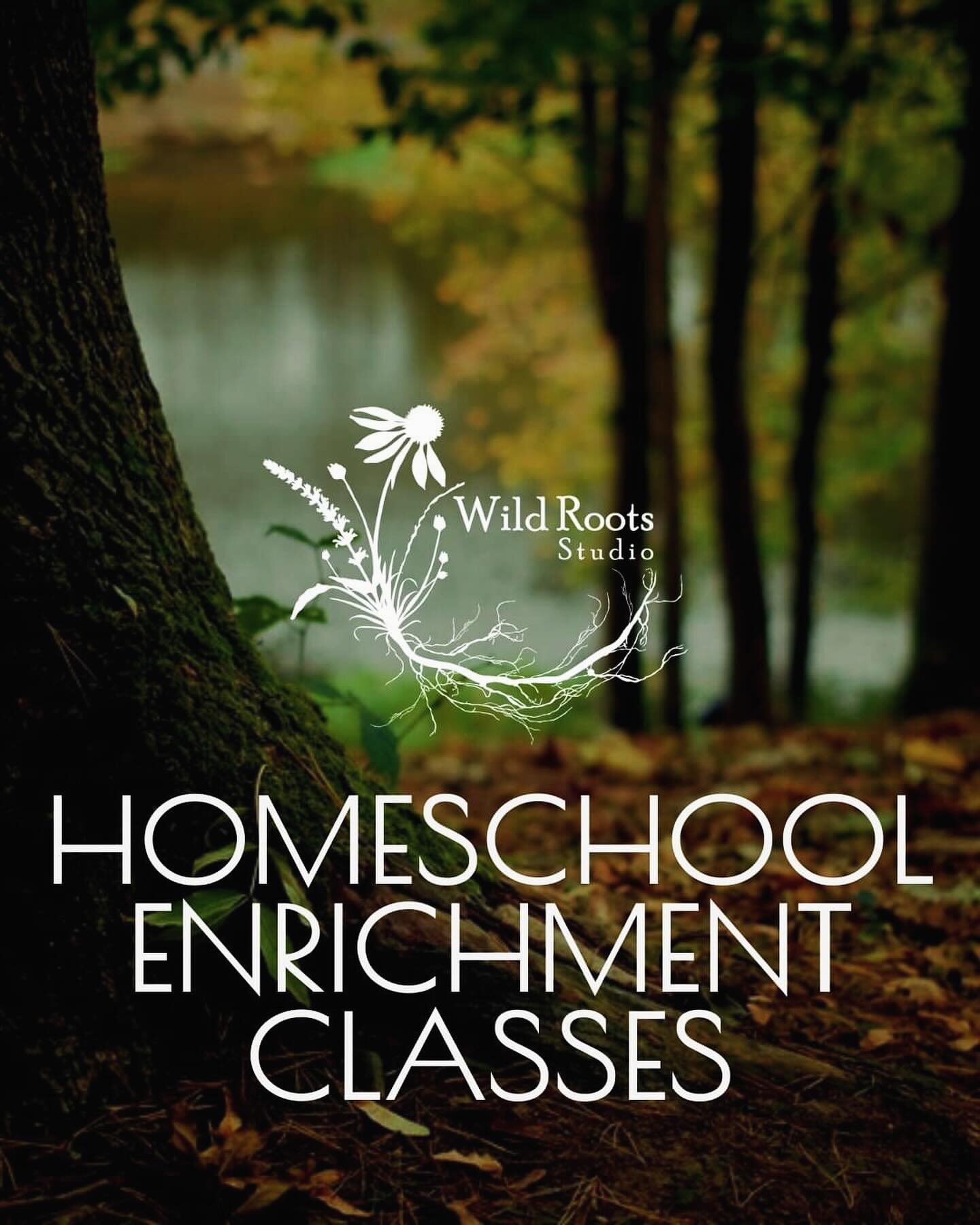 We are thrilled to announce the opening of registration for our unique Homeschool Enrichment Program! Designed with the intention of growing the whole child, our program incorporates aspects essential to personal growth and emotional awareness; such 