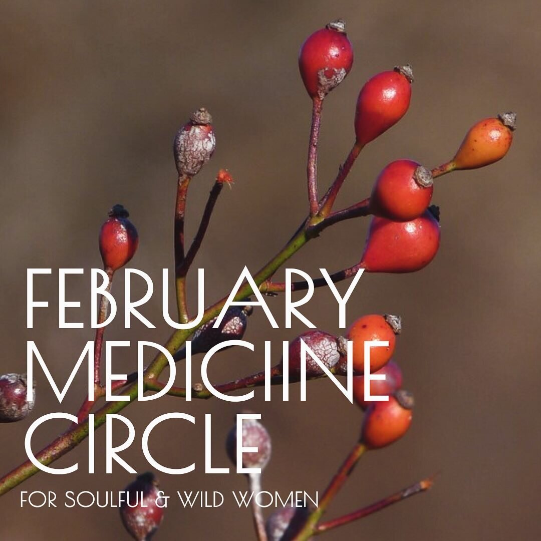 Next Tuesday, join me and Cortney Kern from @_mothergardener as we come together in an evening of connection to community and our earth in the February Medicine Circle.
You are invited to gather with us to honor Late Winter and the hope of the coming