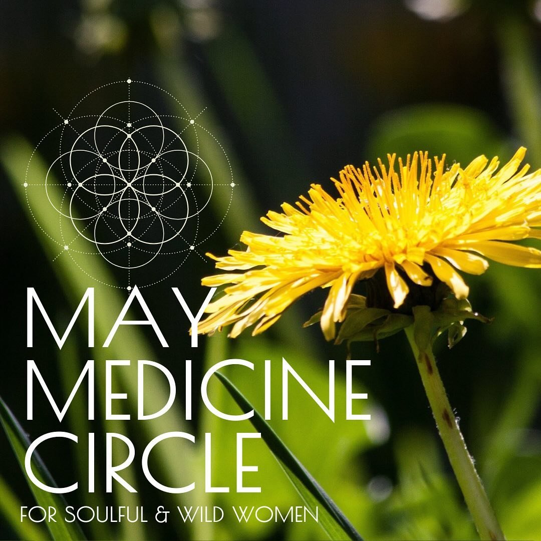 , May 9th @ 6pm in honoring the sweet season of Spring.

In this circle, we will be making Spring Dandelion Medicine to cleanse and restore the body after the Winter.

Dandelions strengthen our 3rd chakra (solar plexus) by lighting us up with joy and