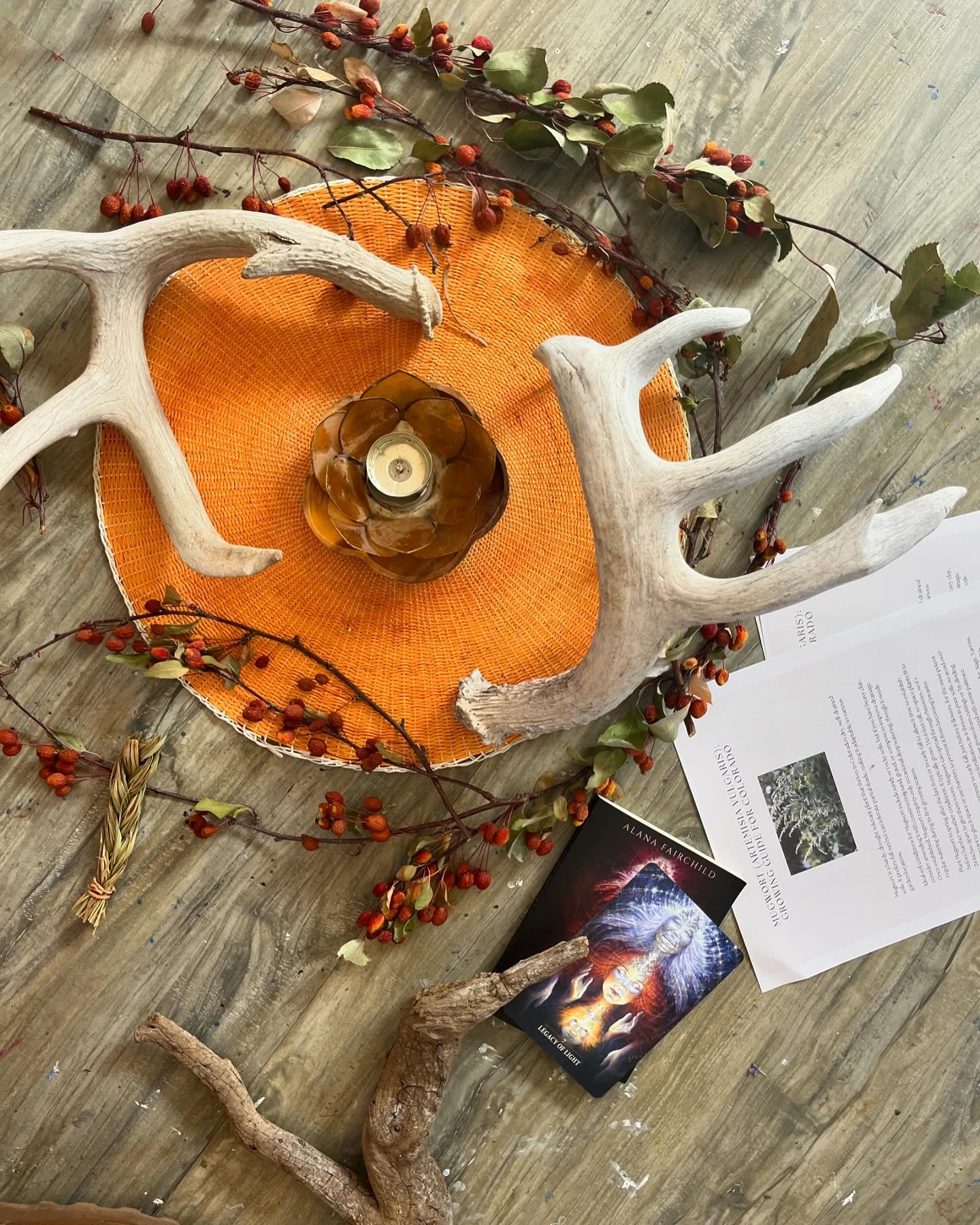 Grateful for the incredible women who gathered last Friday for our Ancestor Medicine Circle. Together, we journeyed back to connect with the wisdom of our ancient grandmothers and crafted Mugwort Oil &amp; Dreaming Bundles to honor their guidance and