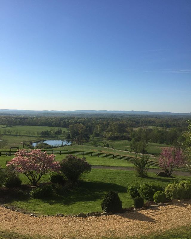 Highholdborne Estate @Highholdborne Estate #weddings #visit loudoun #loudoun county #tastings