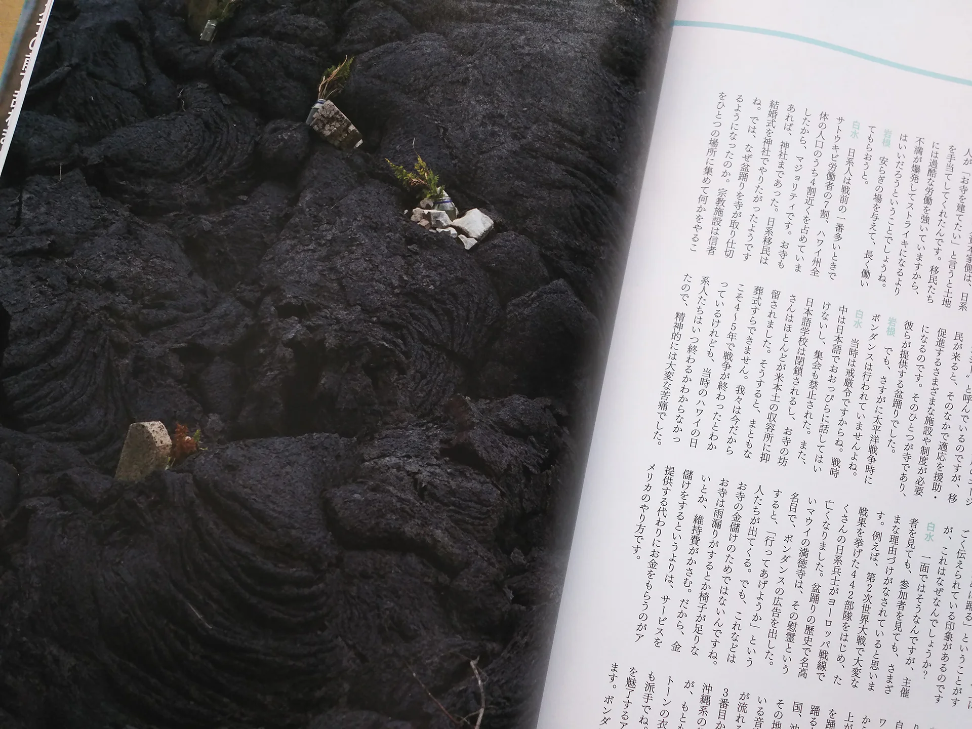   "Fukusima Ondo, Bondance in Hawaii", CYZO   July 2017 issue  "Hawaii Bondance, Home of Fukushima Ondo"  6 pages of photos and dialogue with Prof. Shigehiko Shiramizu.    CYZO   July 2017 , CYZO Publishing 