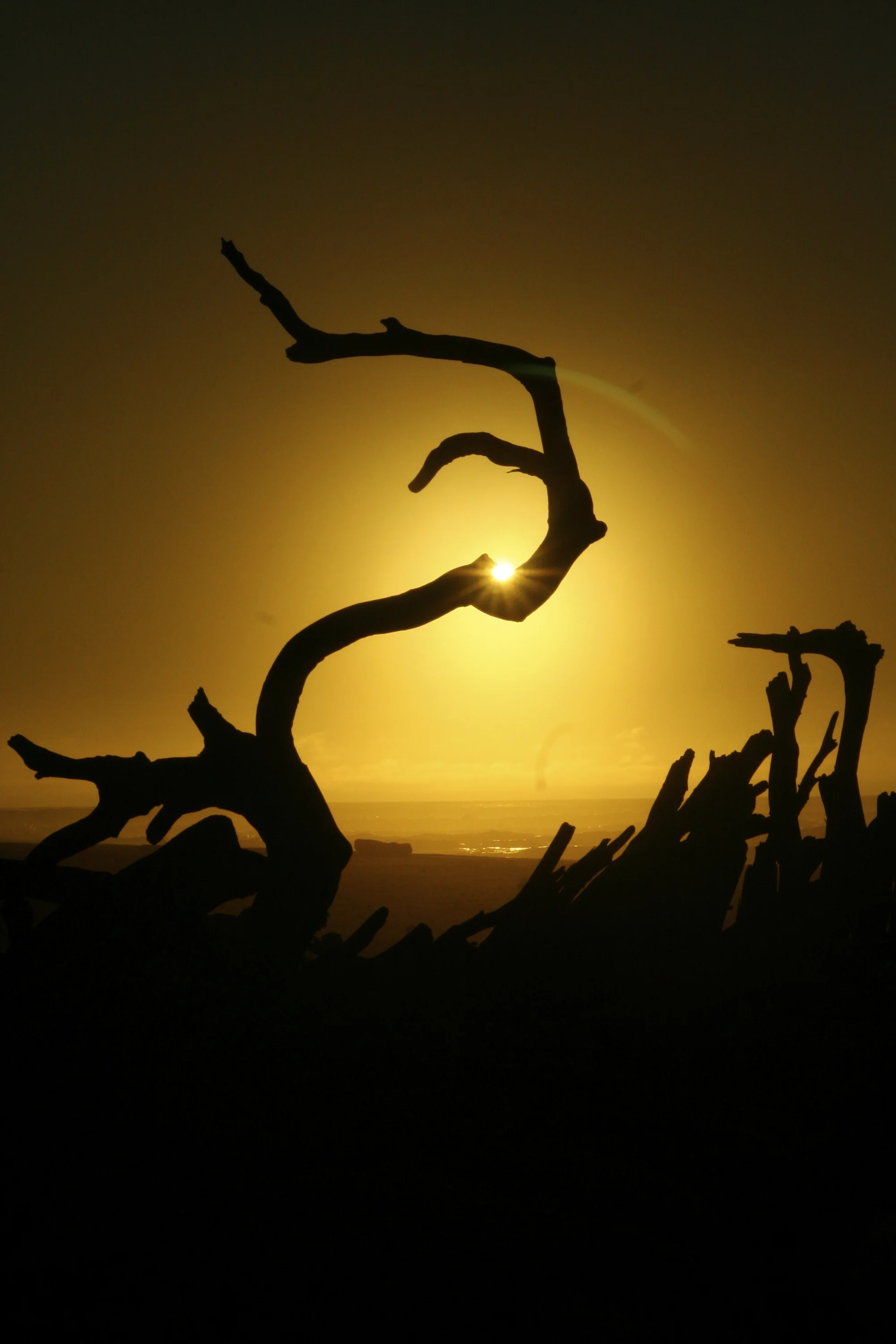 nzsunset2.jpg