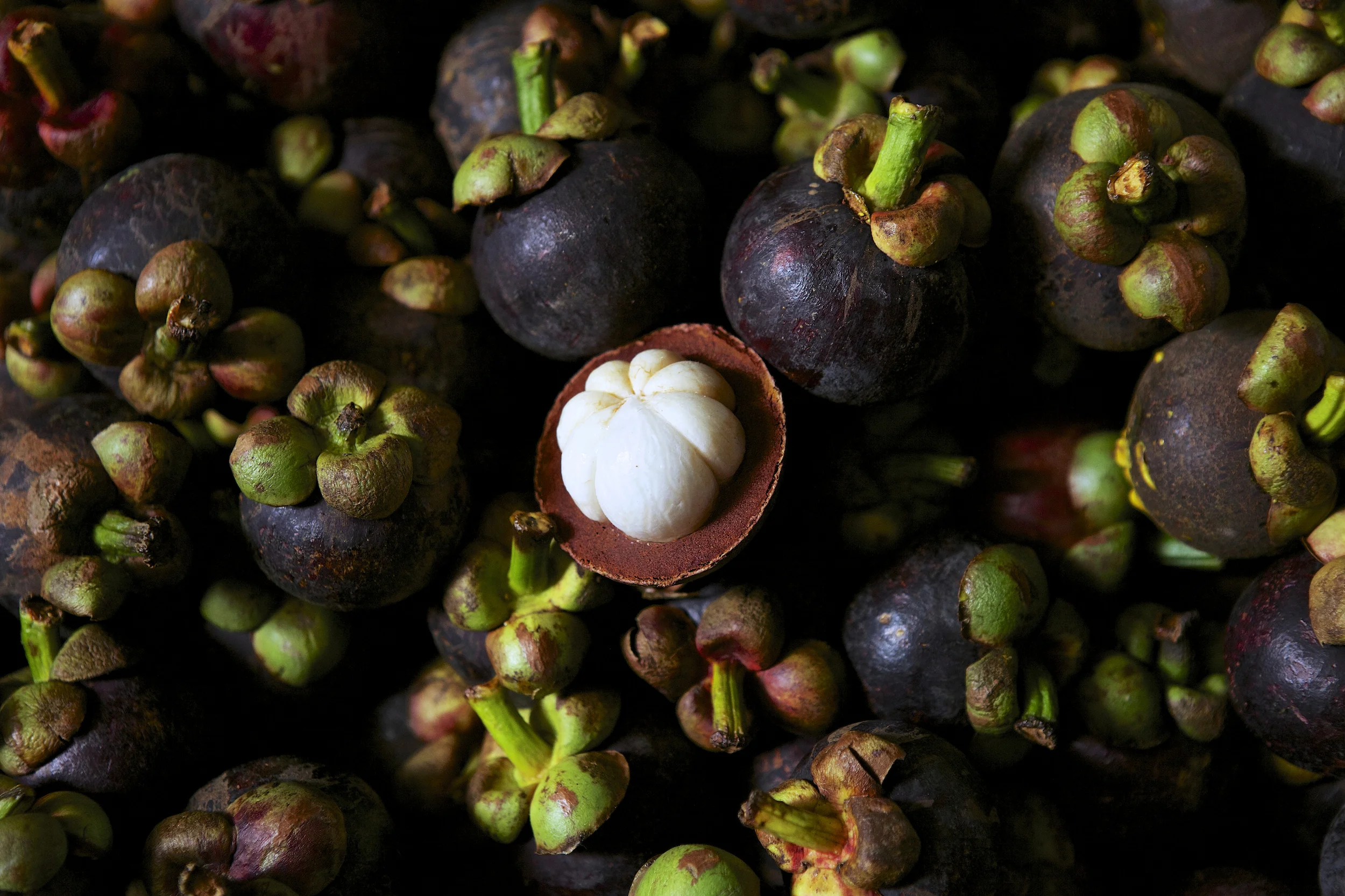 thailandmangosteen.jpg