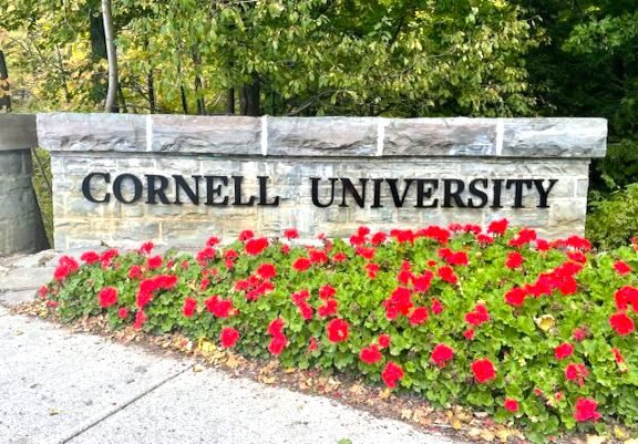 Cornell-scaled-e1666691317422.jpg