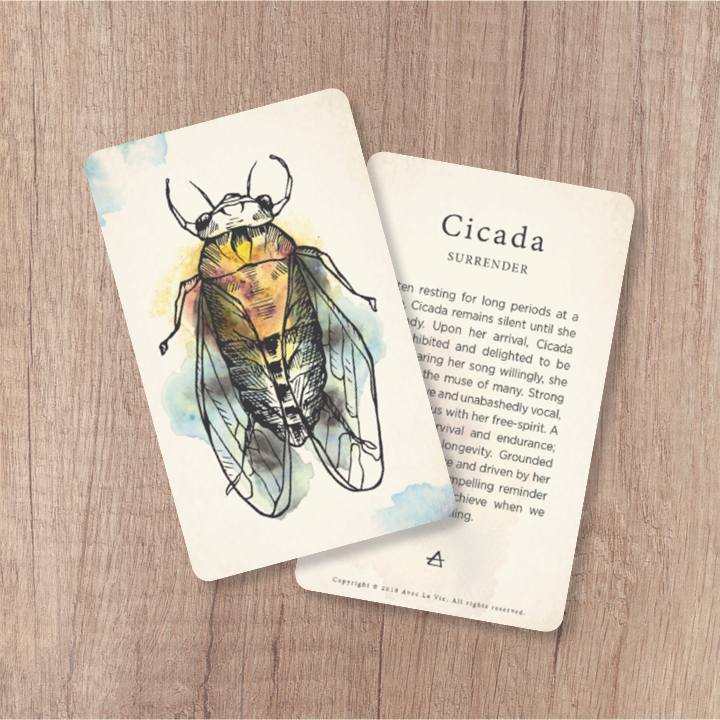 cicada.png