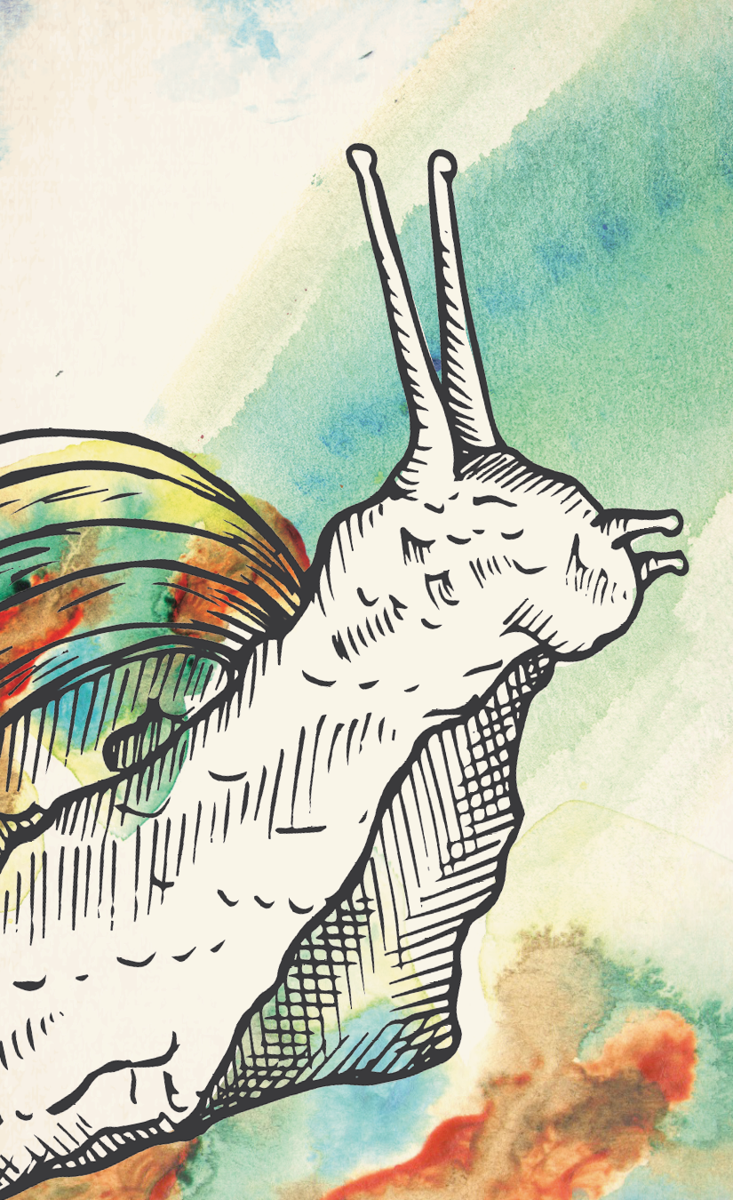 snail.png