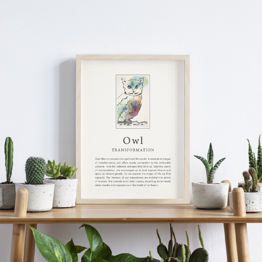 fauna_mockup_1-06.png