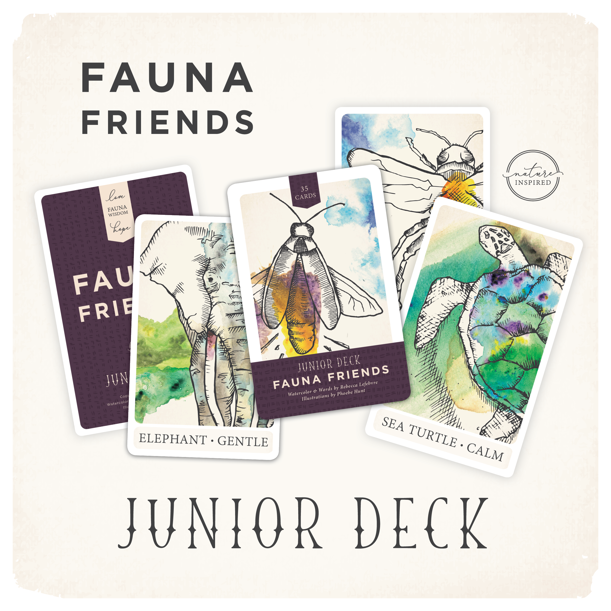 junior_deck_teaser.png