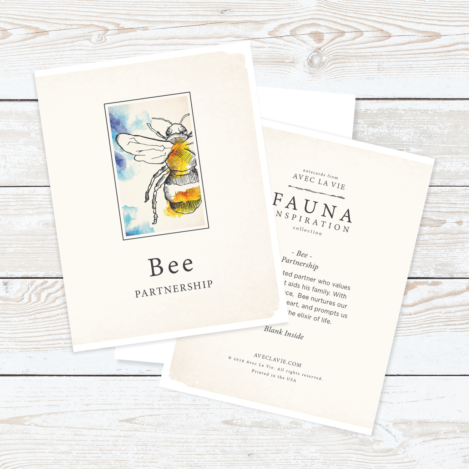 Fauna_Notecards_WhiteBKG_1.png