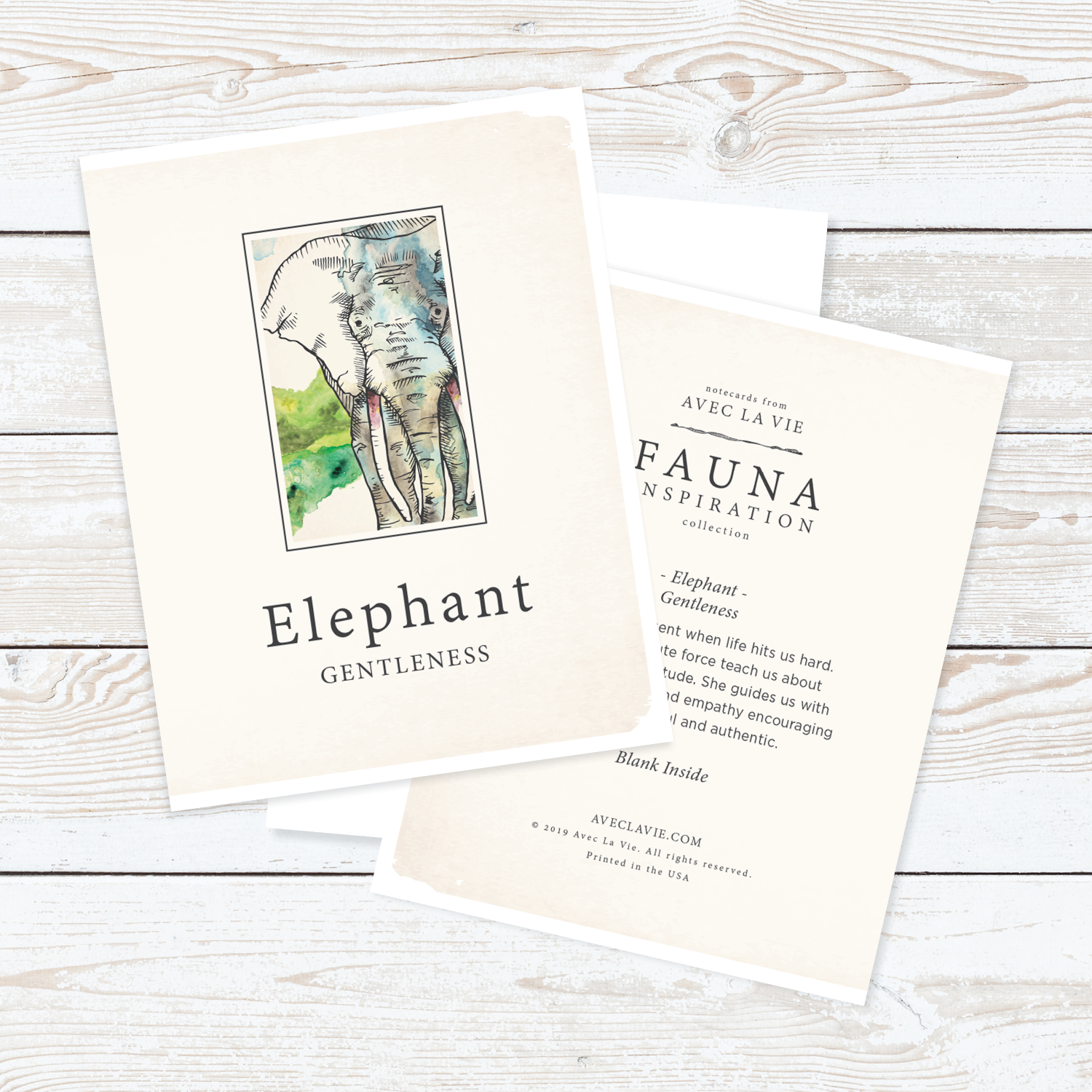 Fauna_Notecards_WhiteBKG_13.png