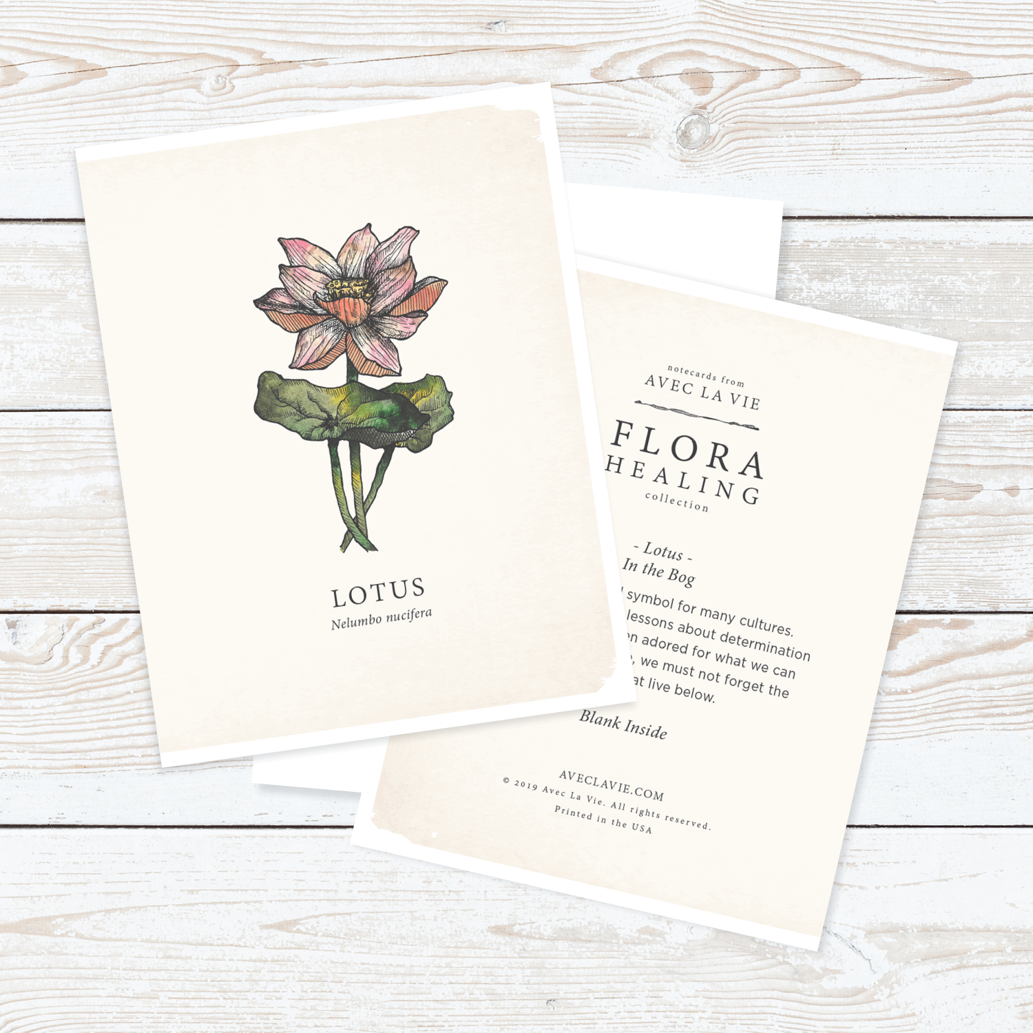Flora_Notecards_WhiteBKG_18.png