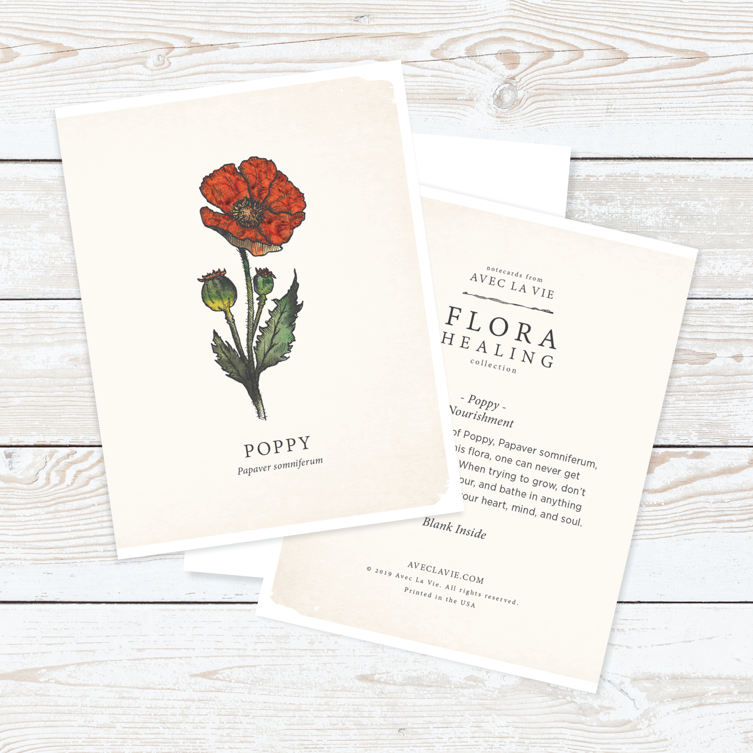 Flora_Notecards_WhiteBKG_19.png