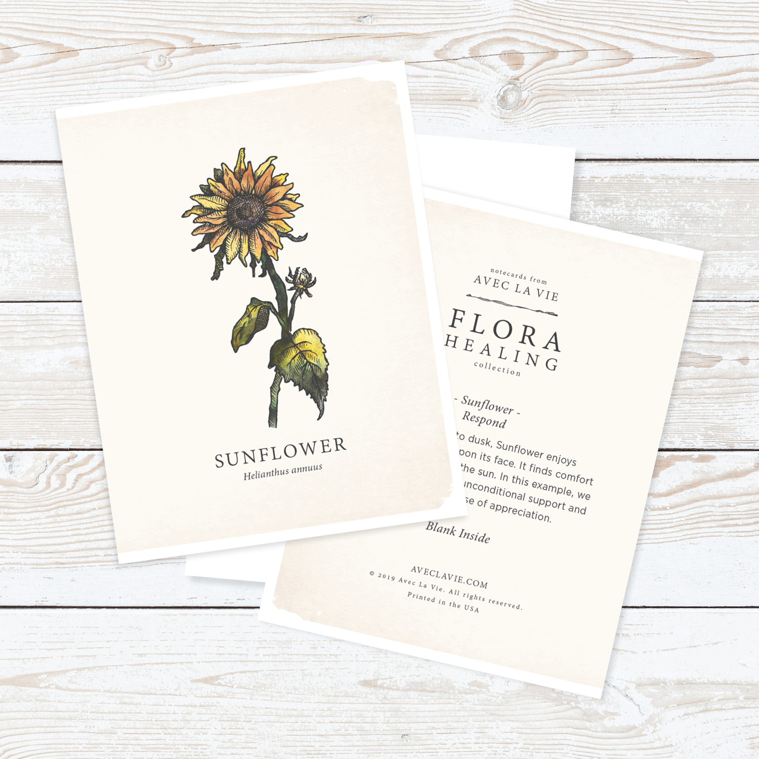 Flora_Notecards_WhiteBKG_110.png