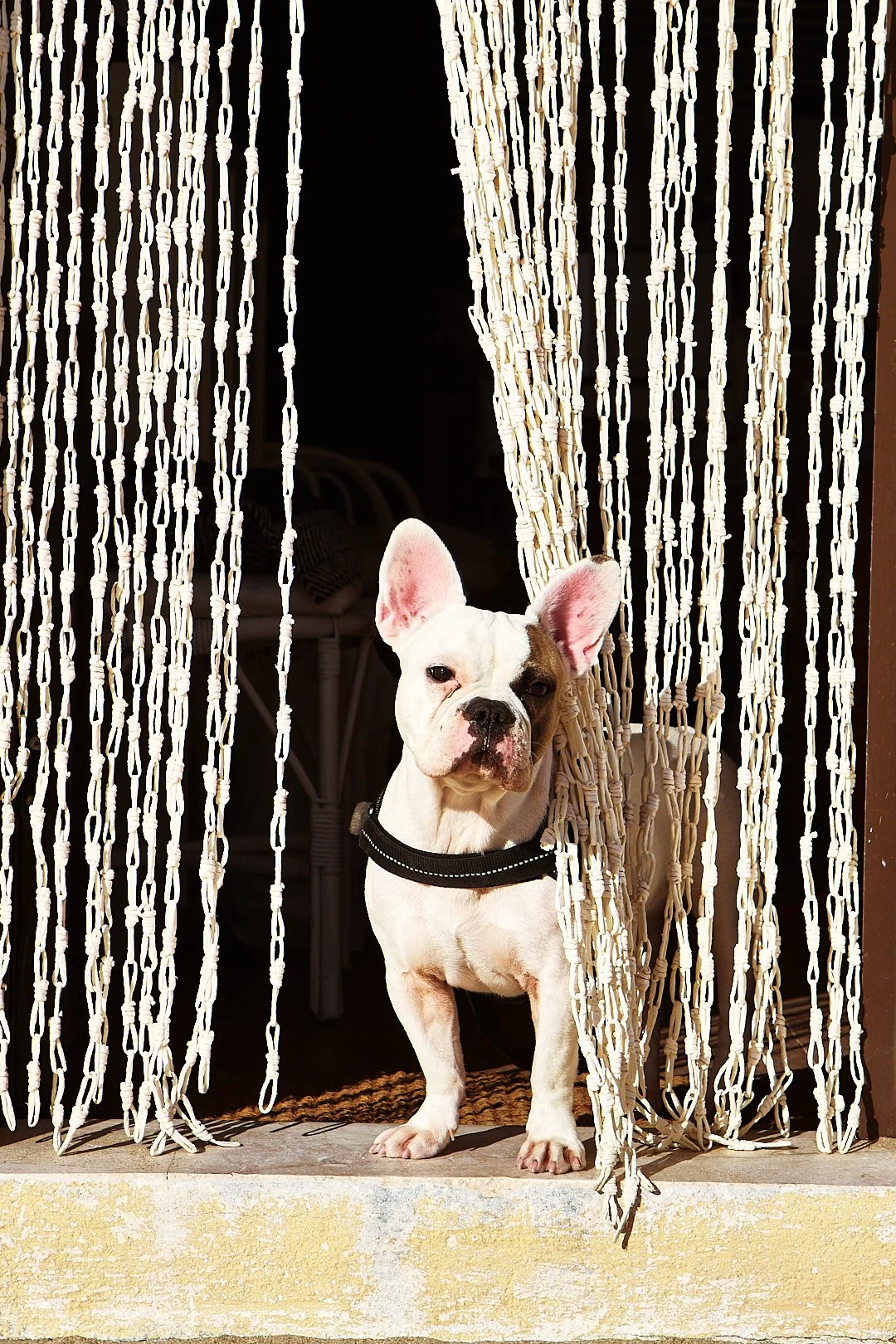 20191223_FANDOS HOUSE_0371.jpg