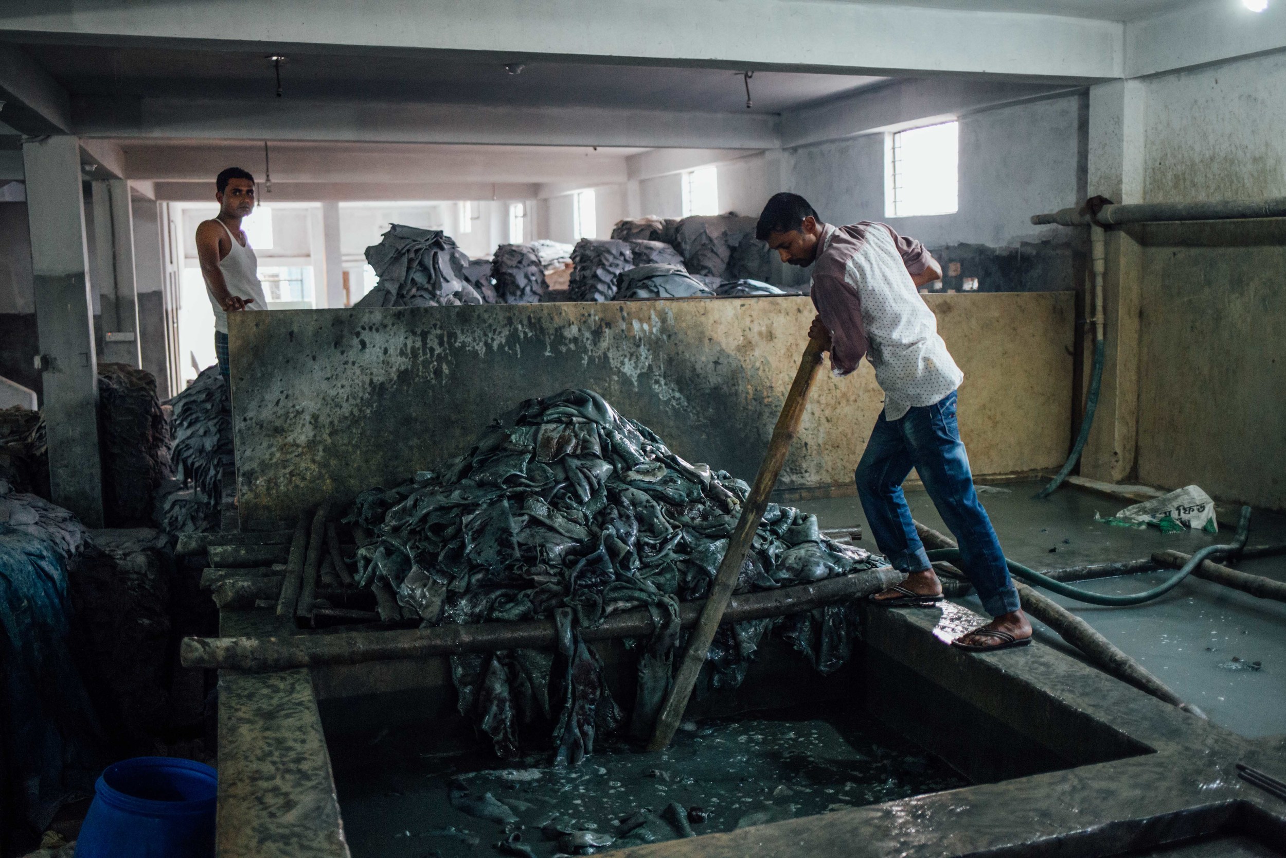  Following the "wet blue" process where the hides are bleached, workers manually stir piles of hides in pits filled with bleaching agents to soften them and prepare for drying. 