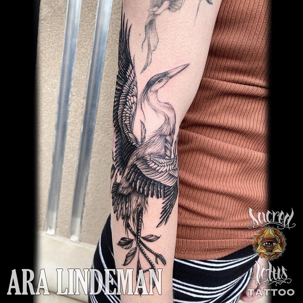Black and Grey arm piece by Amy Ross at Sacred Lotus Tattoo in Asheville NC   Tattoos Lotus tattoo Tattoo shop