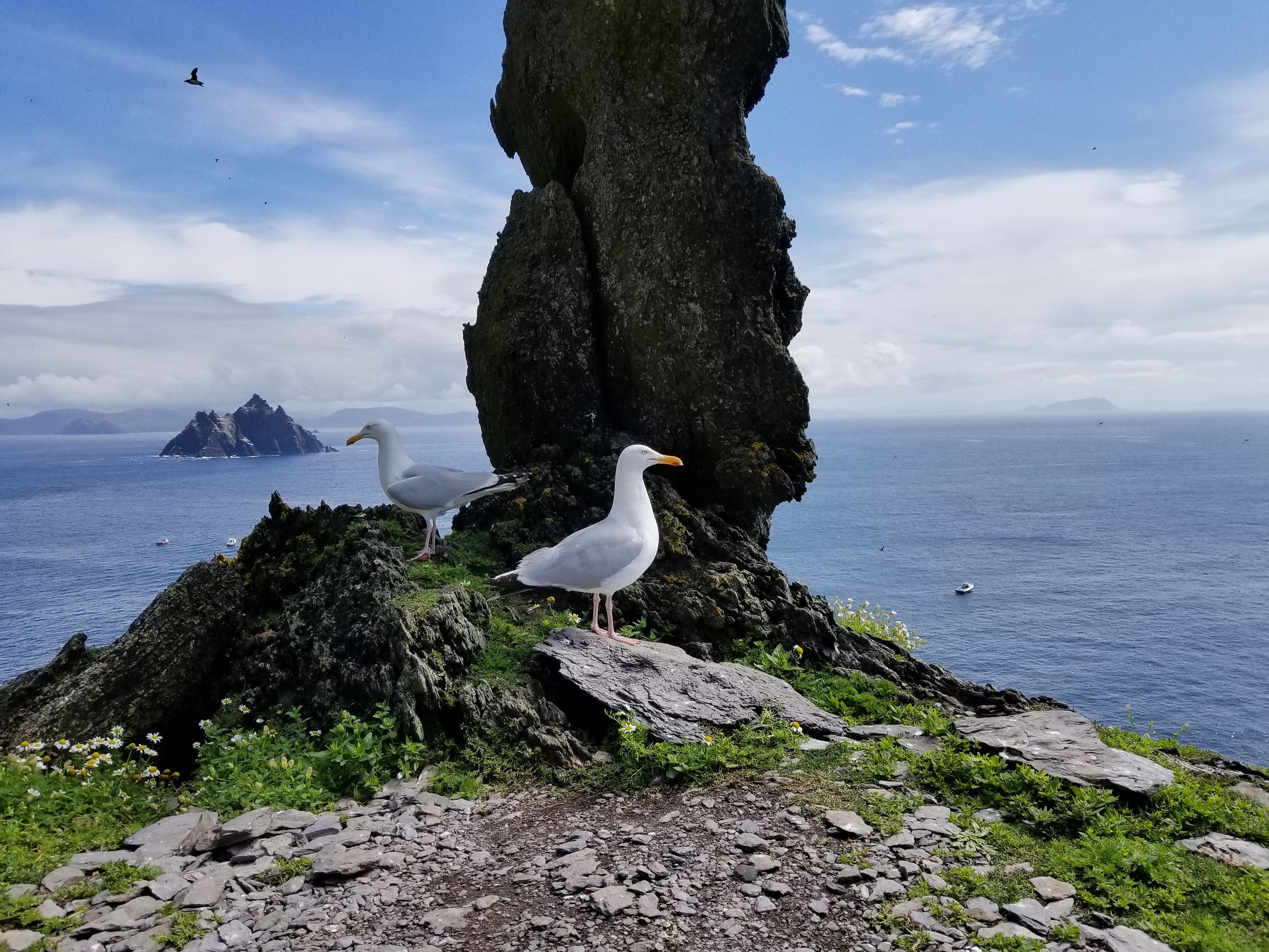 I went to Skellig Michael and it was better than Star Wars.