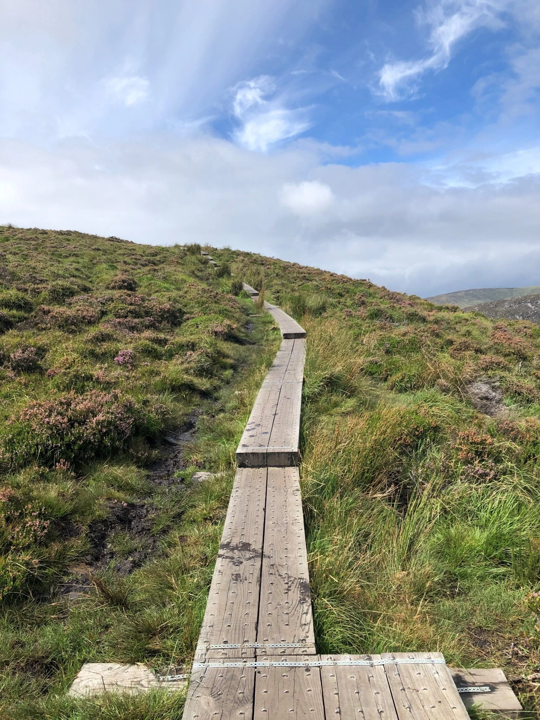 Wicklow6.jpg