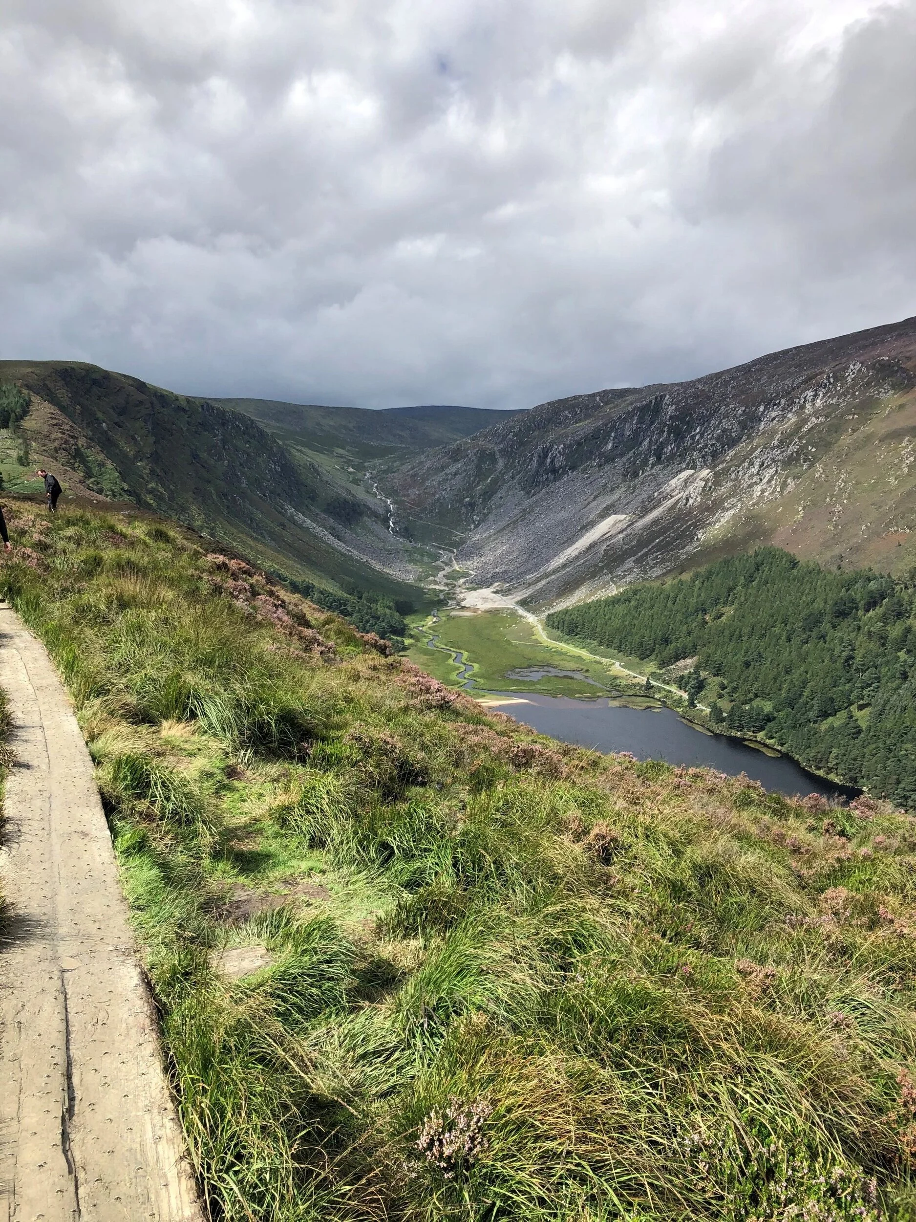 Wicklow4.jpg