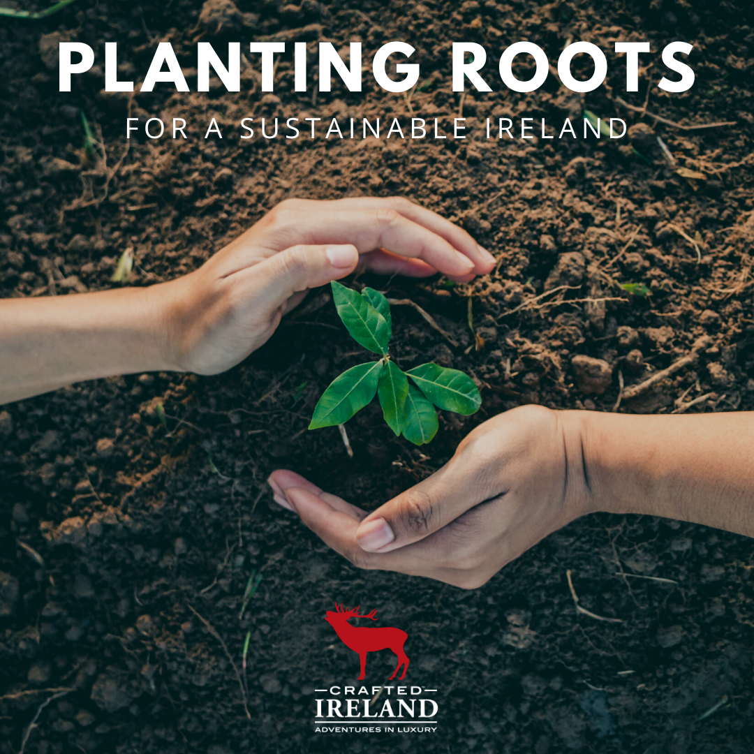 EARTH DAY Crafted Ireland.png
