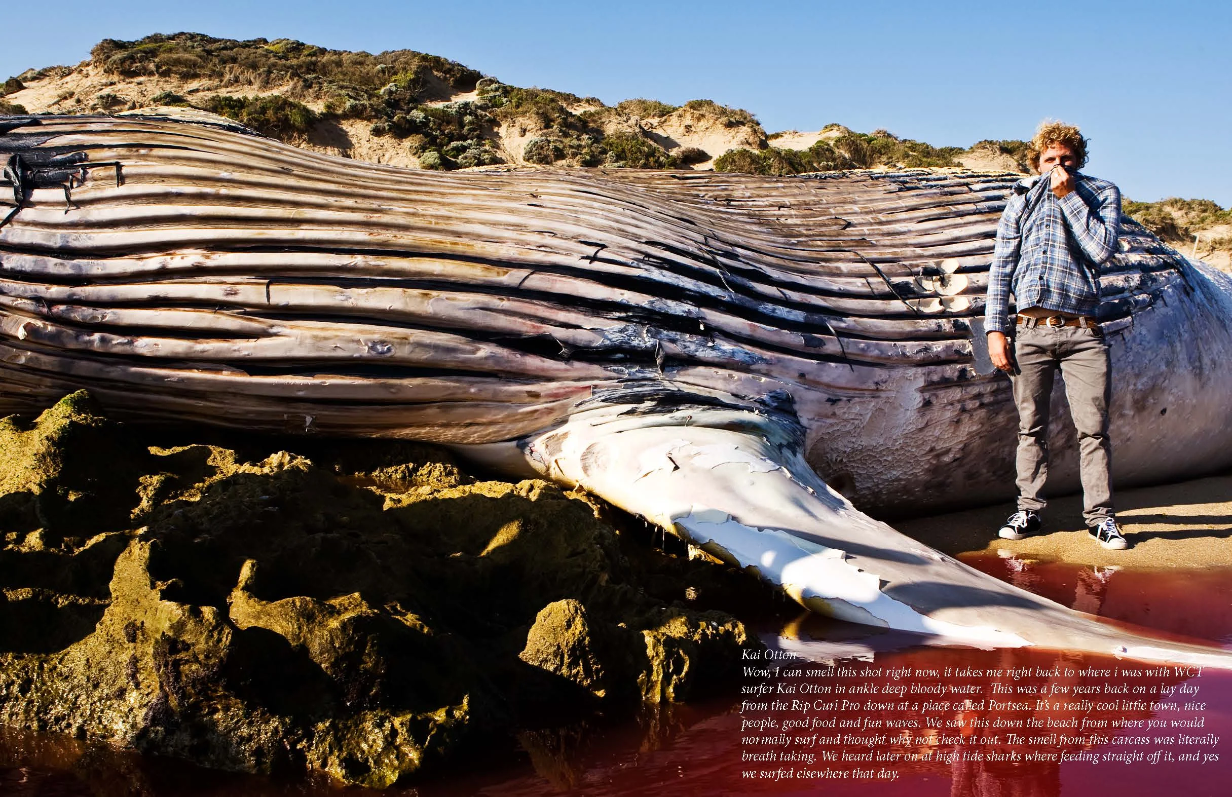 wstrncv magazine issue2_spreads_Page_052.jpg