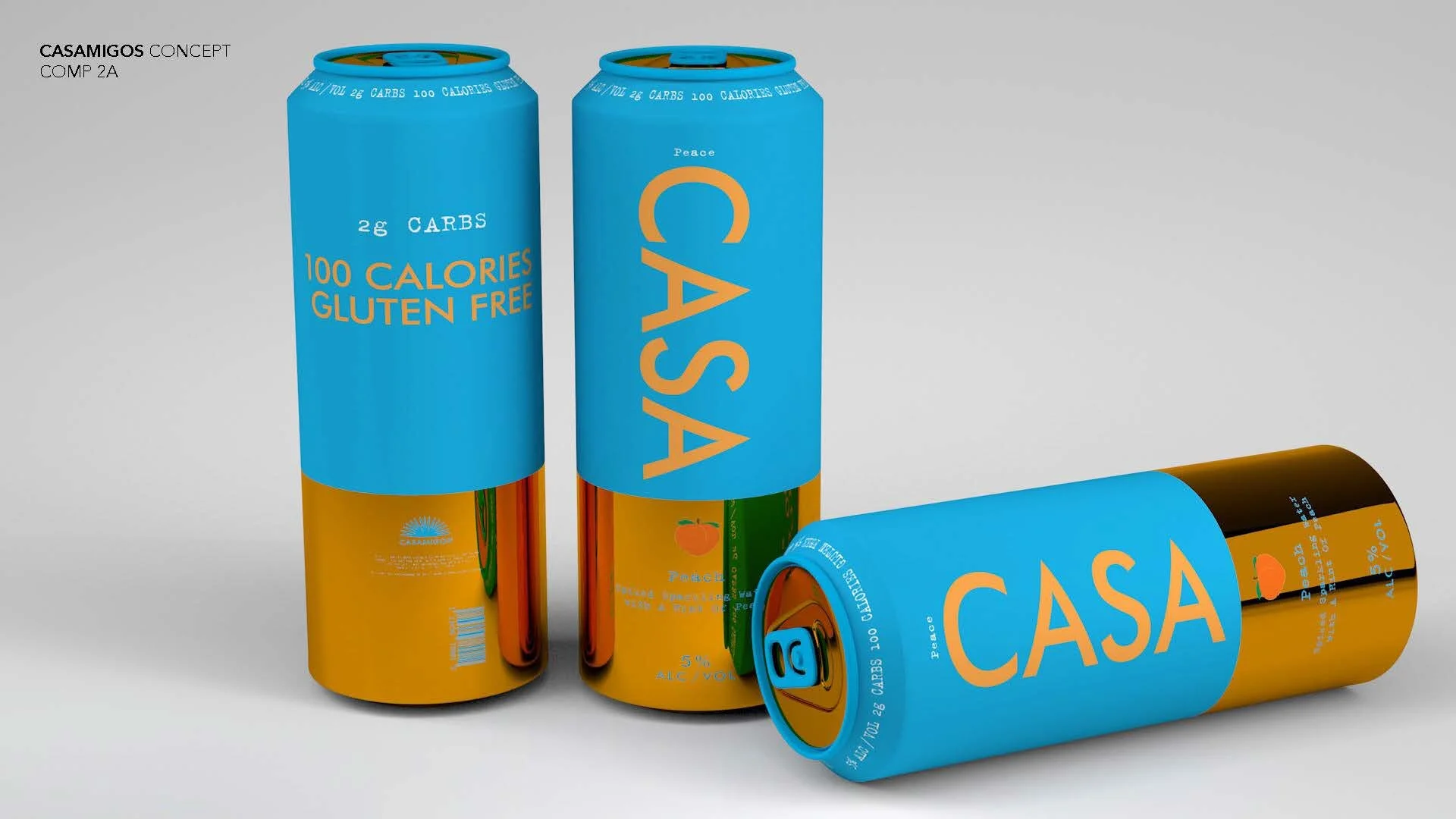 Casamigos_Concepts_r3.1[1]_Page_01.jpg