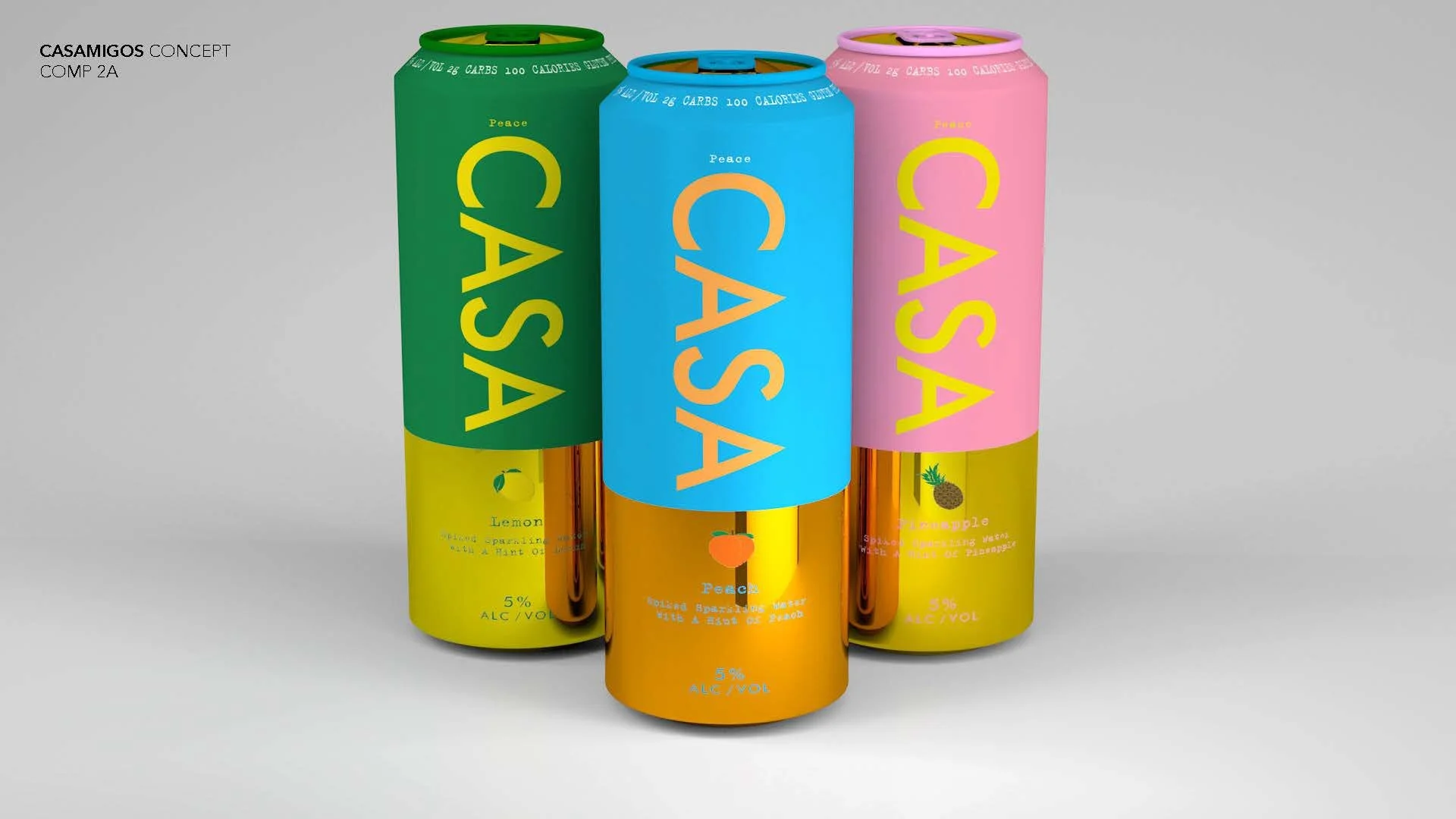 Casamigos_Concepts_r3.1[1]_Page_02.jpg