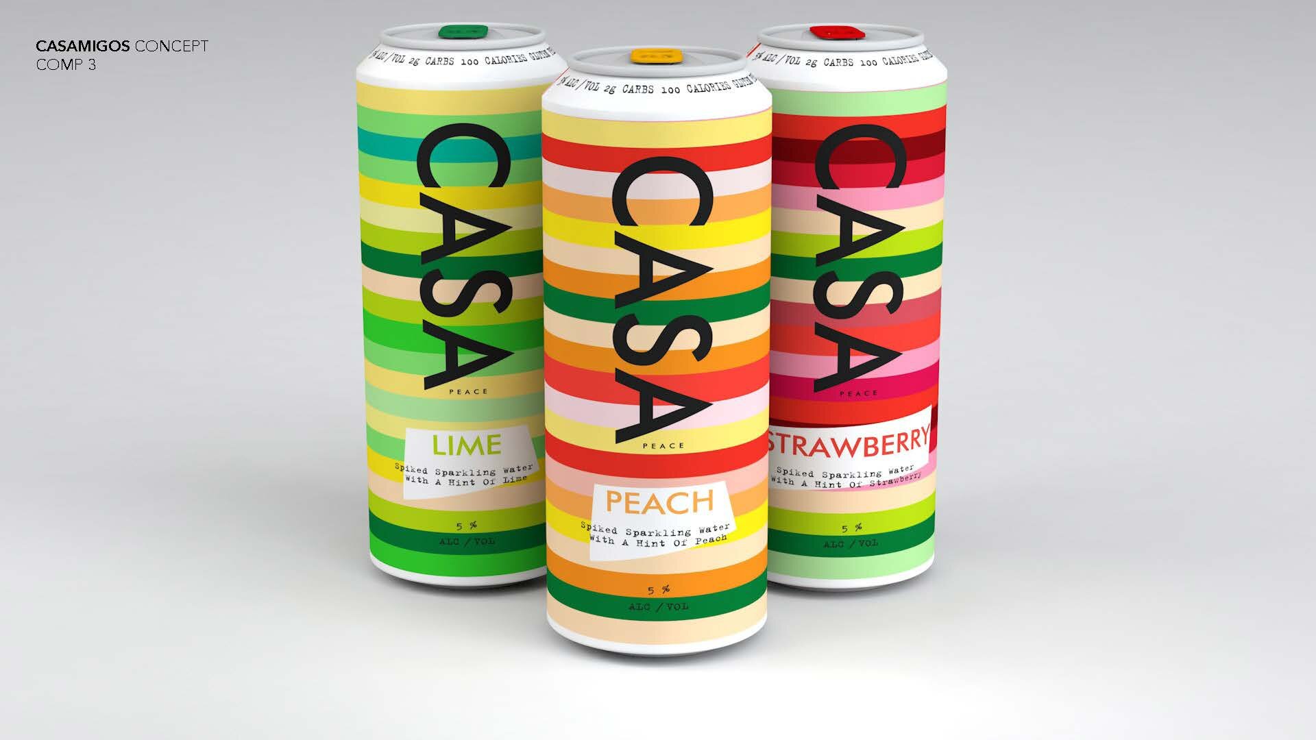 Casamigos_Concepts_r3.1[1]_Page_12.jpg