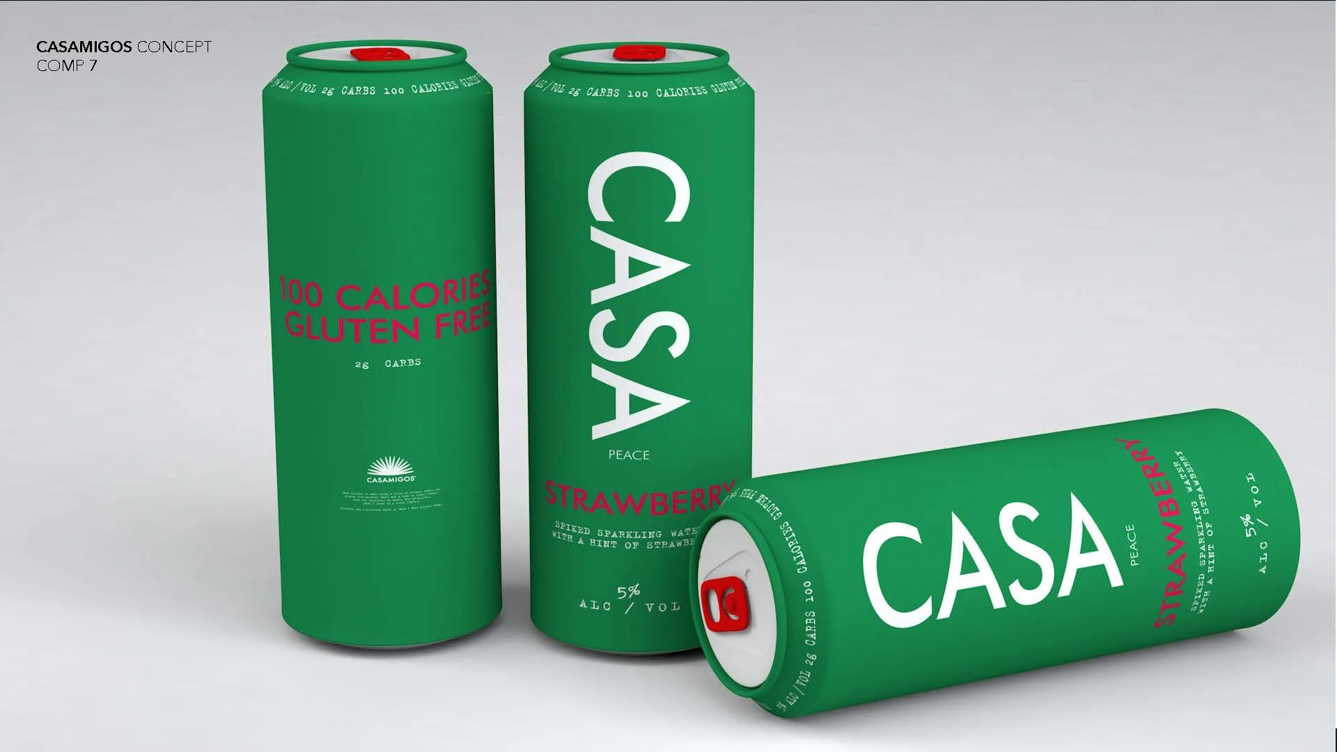 Casamigos_Concepts_r3.1[1]_Page_17.jpg