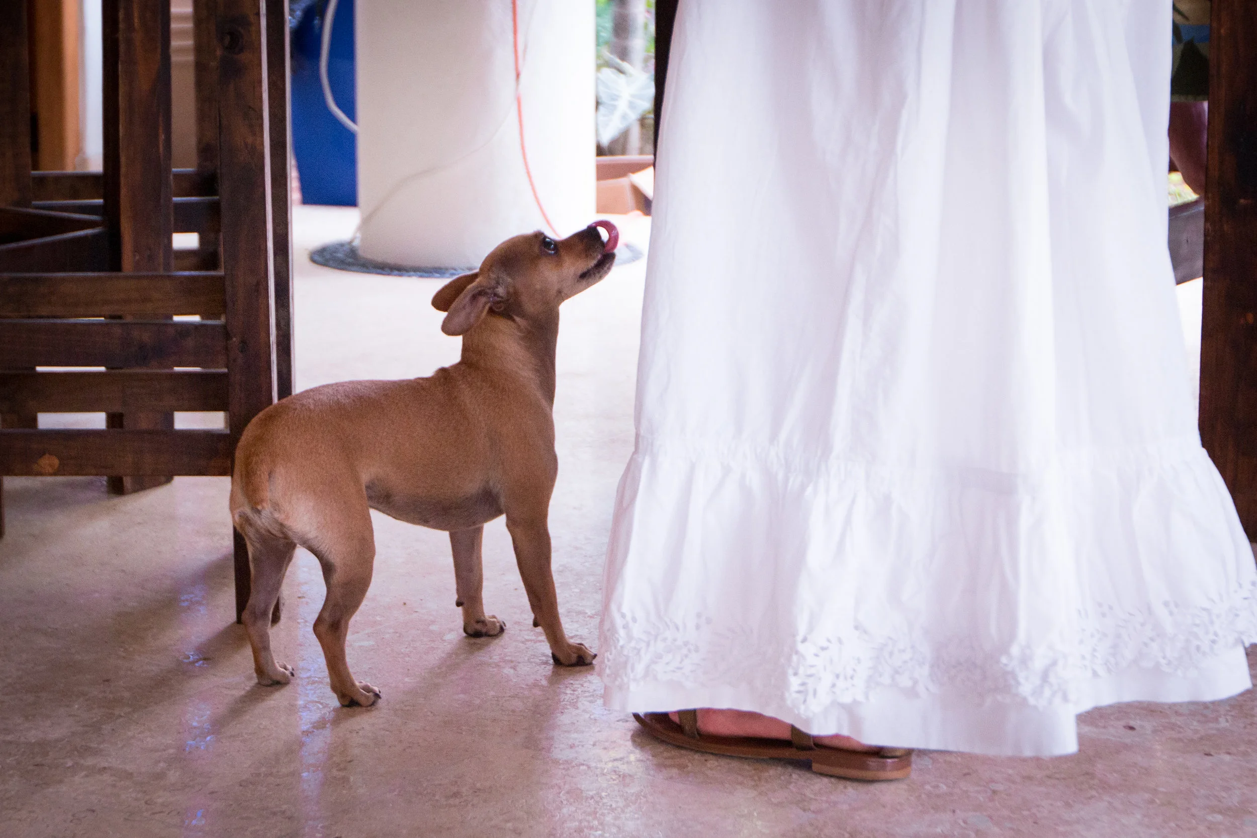 201607_Rebekah+Rudd-4157-2.jpg