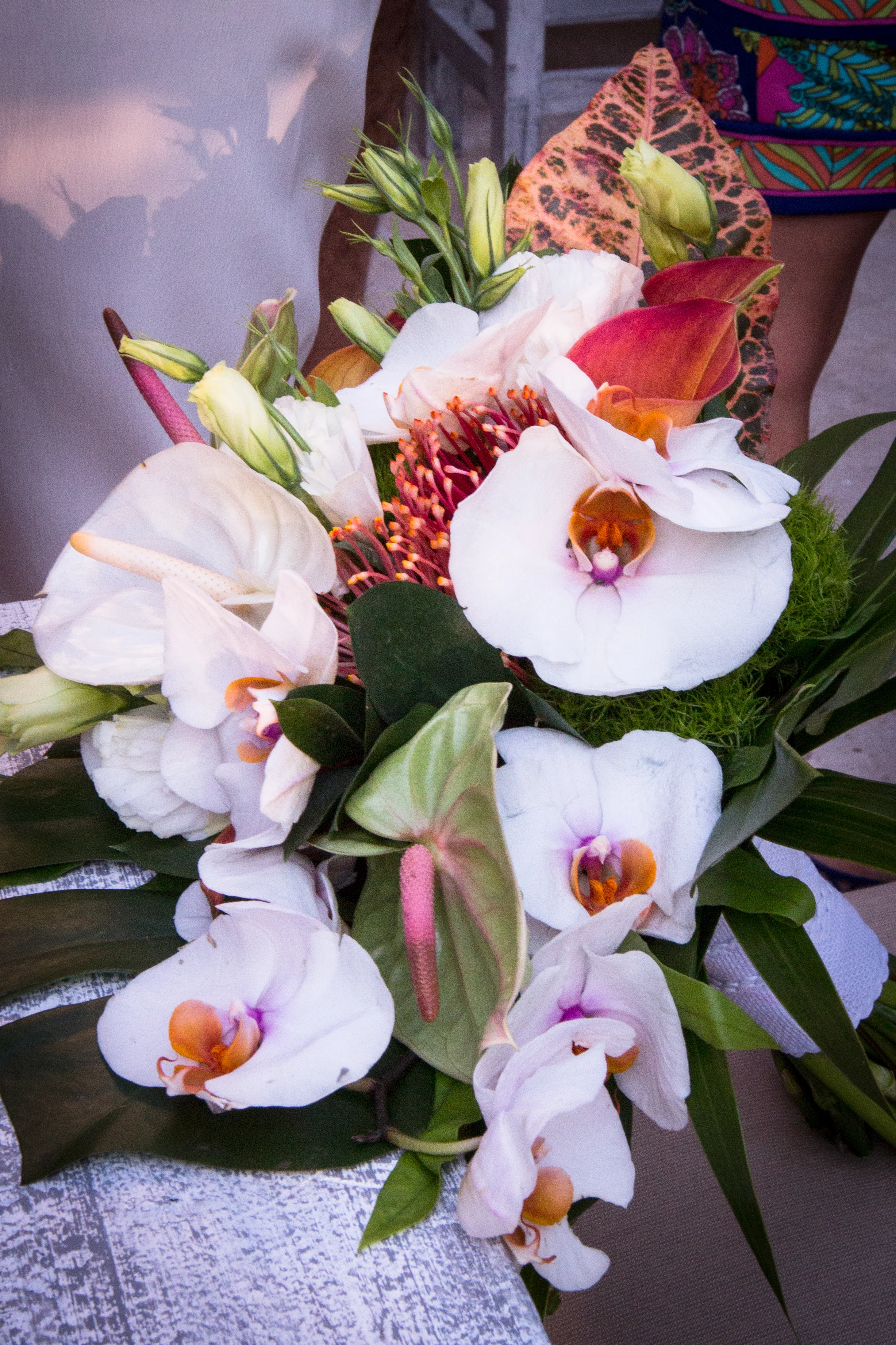 201607_Rebekah+Rudd-6035-2.jpg