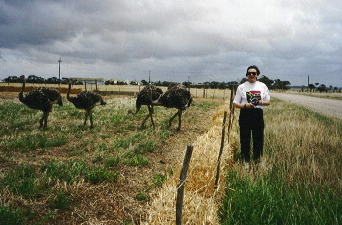 Ostrich Farm