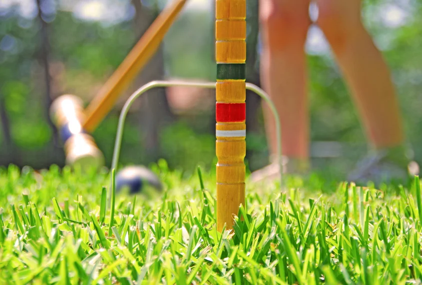 Memorial Day Croquet Tournament (2530 Ryan Place Drive)