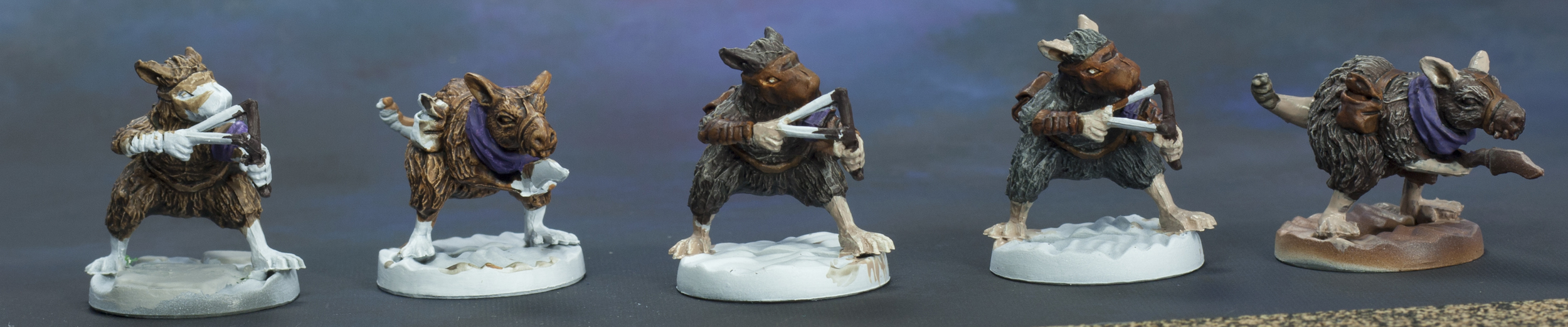 Rats from the front