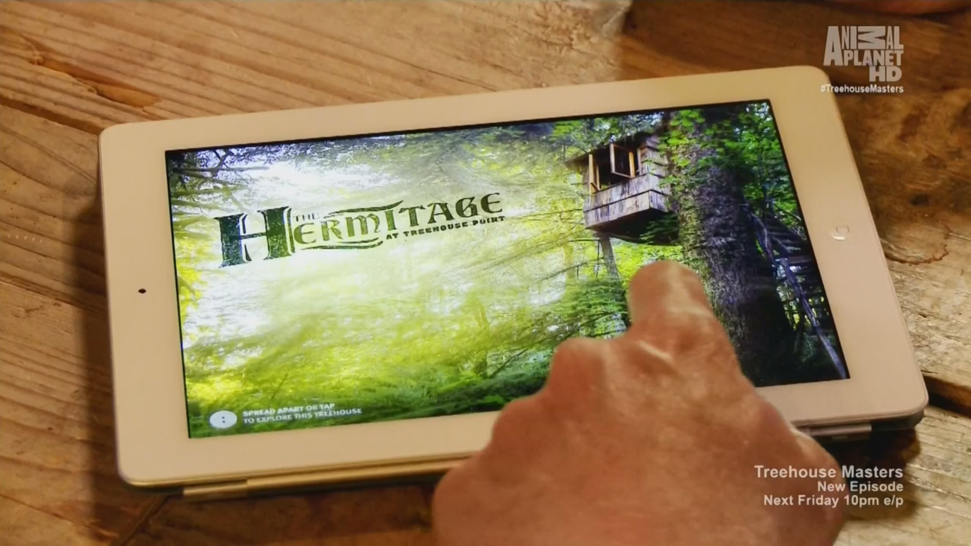 treehousemasters2222.jpg