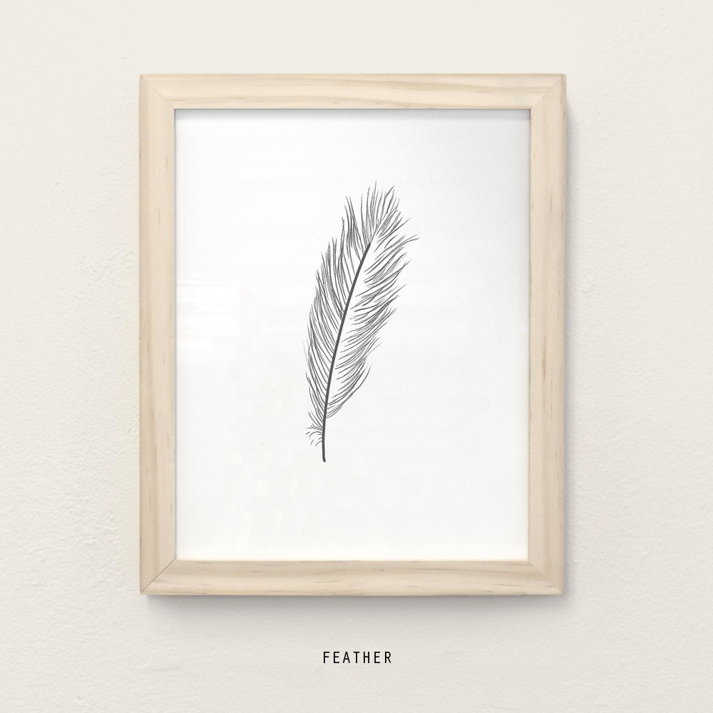 _feather.jpg