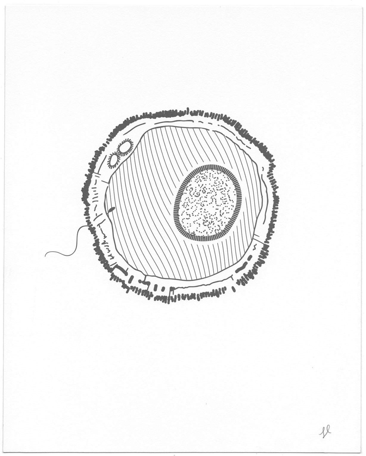 Scan-8.jpg