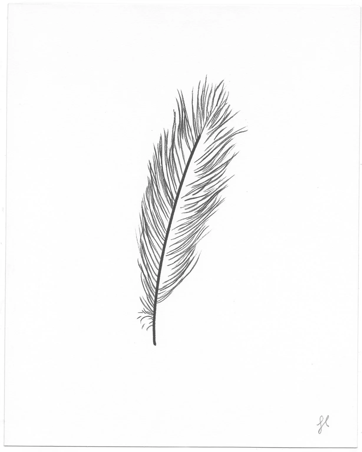Feather