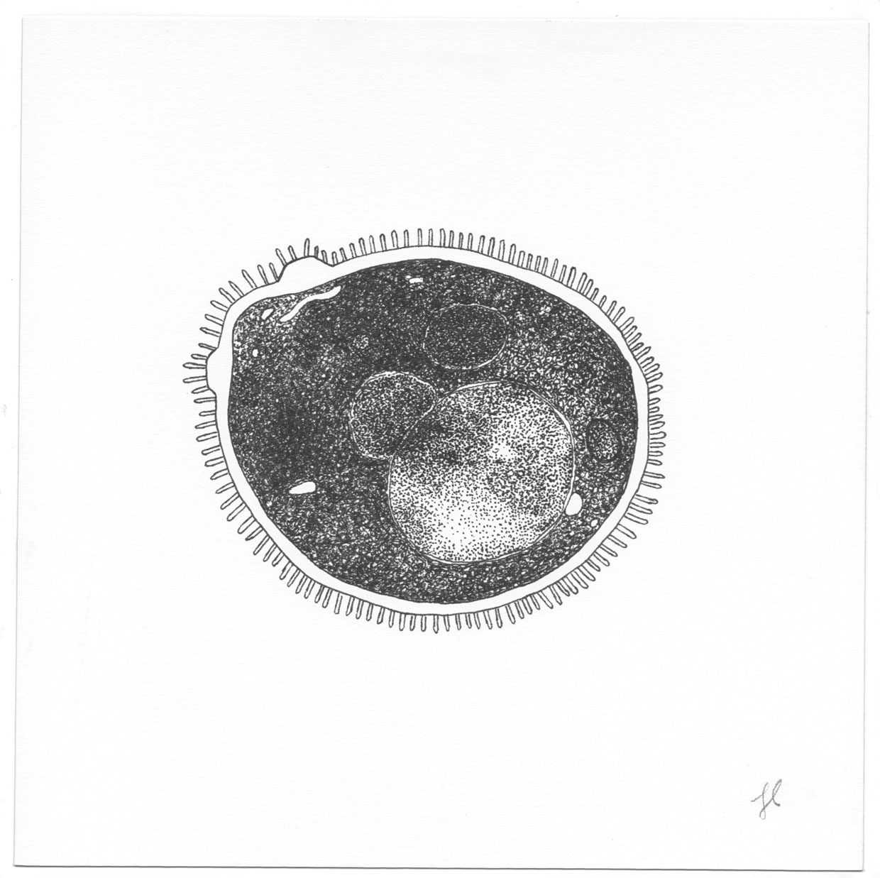 Scan-12-LR.jpg